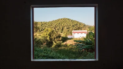 View through the window in the climate consultation area