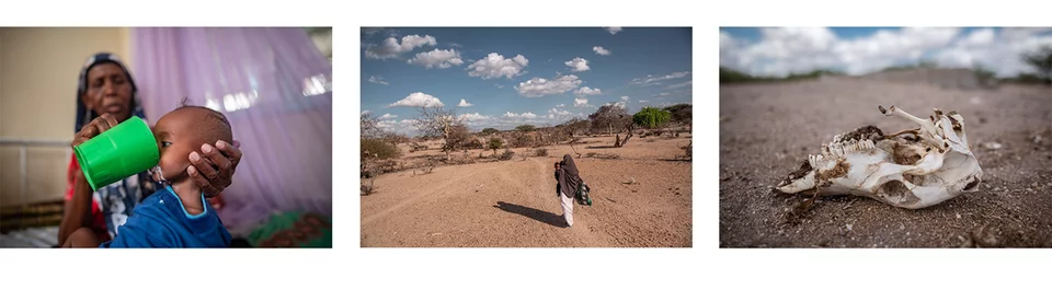 Kenia-droogte.aspx%3Fwidth%3D1200%26height%3D331%26ext%3D.png.webp Kenia-droogte.aspx%3Fwidth%3D1200%26height%3D331%26ext%3D.png.webp
